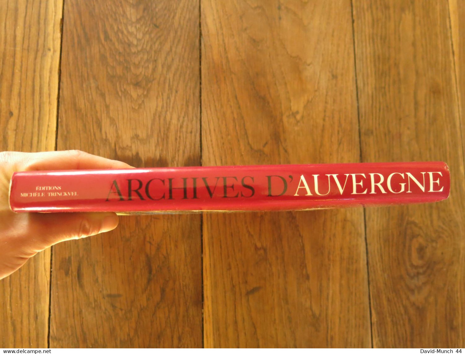 Archives D'Auvergne De Jacques Borgé Et Nicolas Viasnoff. Editions Michéle Trinckel. 1993 - Auvergne