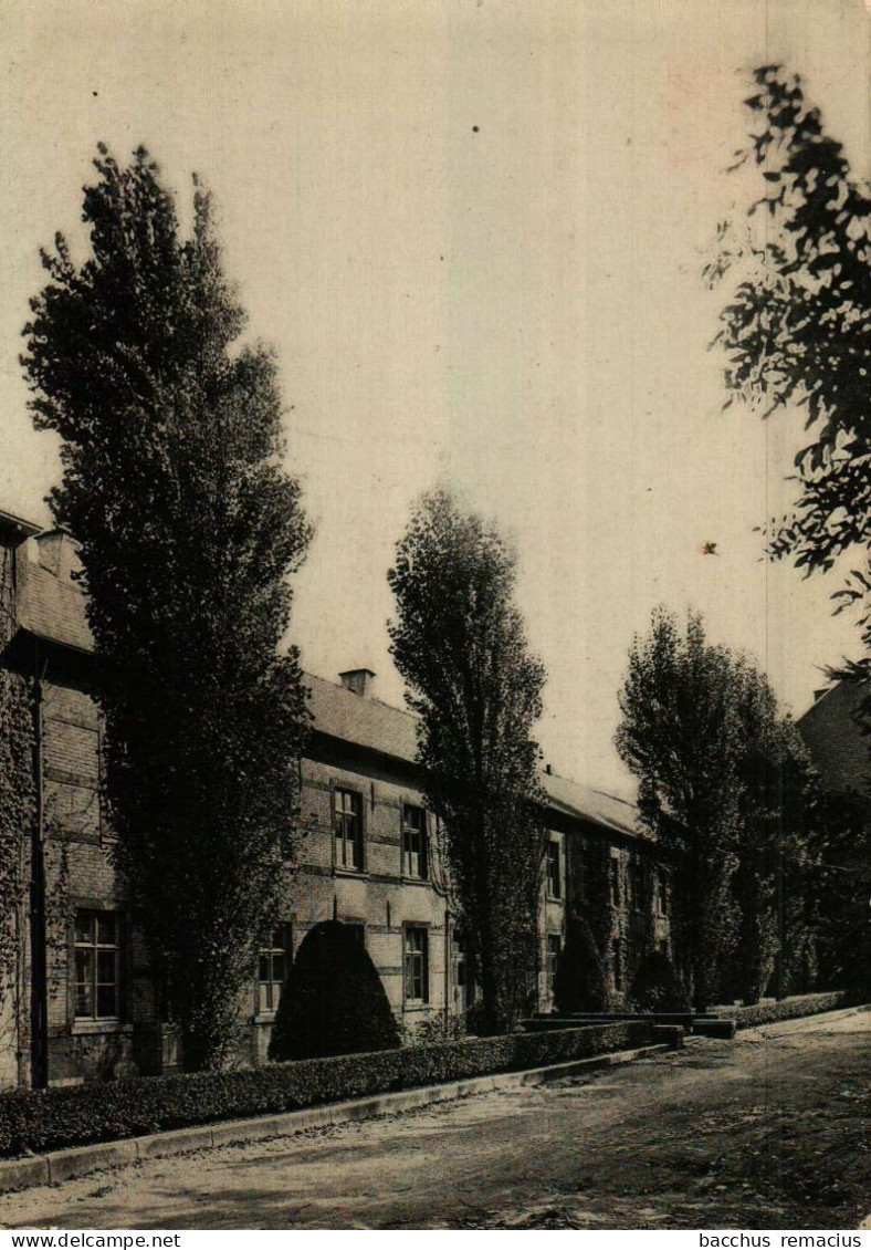 BORCHTLOMBEEK En STRIJTEM - Medisch-Paedagogisch Instituut St-Franciscus - Populieren - Voorhof - Roosdaal