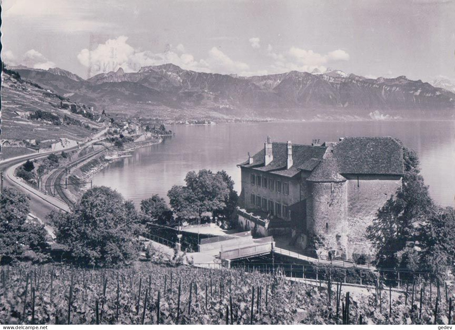 Lavaux, St Saphorin, Château De Glérolles, Chemin De Fer Et Vignes (349) - Saint-Saphorin