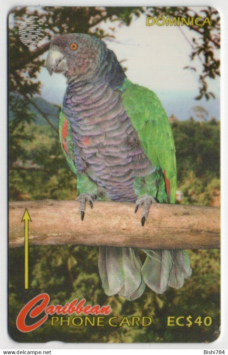 Dominica - Parrot - 230CDMA - Dominica