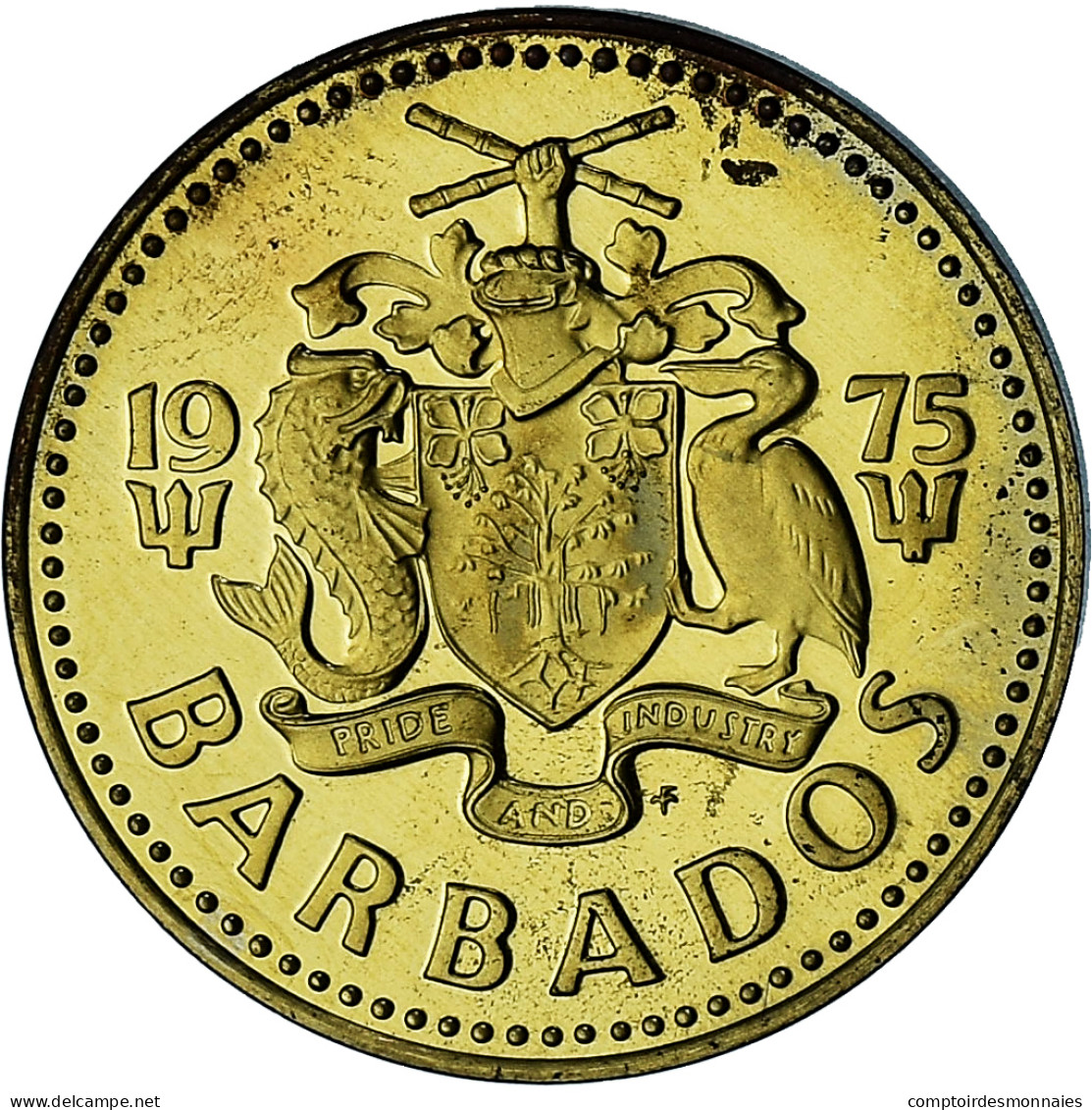 Barbade, 5 Cents, 1975, Proof, SPL+, Laiton, KM:11 - Barbados (Barbuda)