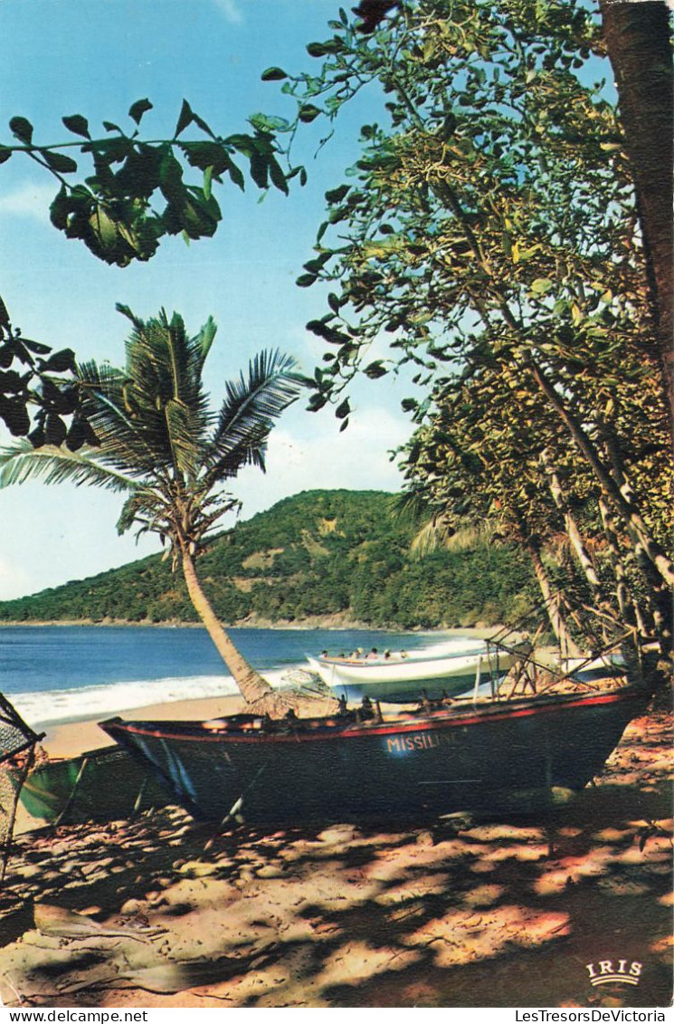 FRANCE -  Guadeloupe - Plage Sur La Mer Des Caraïbes - Carte Postale - Otros & Sin Clasificación