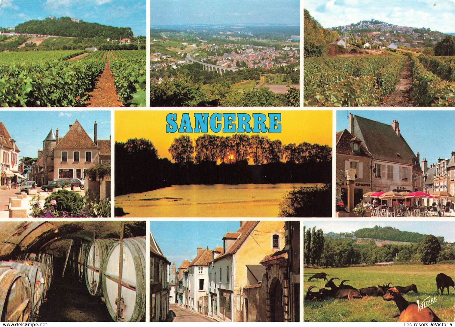 FRANCE - Sancerre - Vignes  - Saint-Satur Et Son Viaduc - Place De La Halle - Rue Des Juifs - Carte Postale Récente - Sancerre