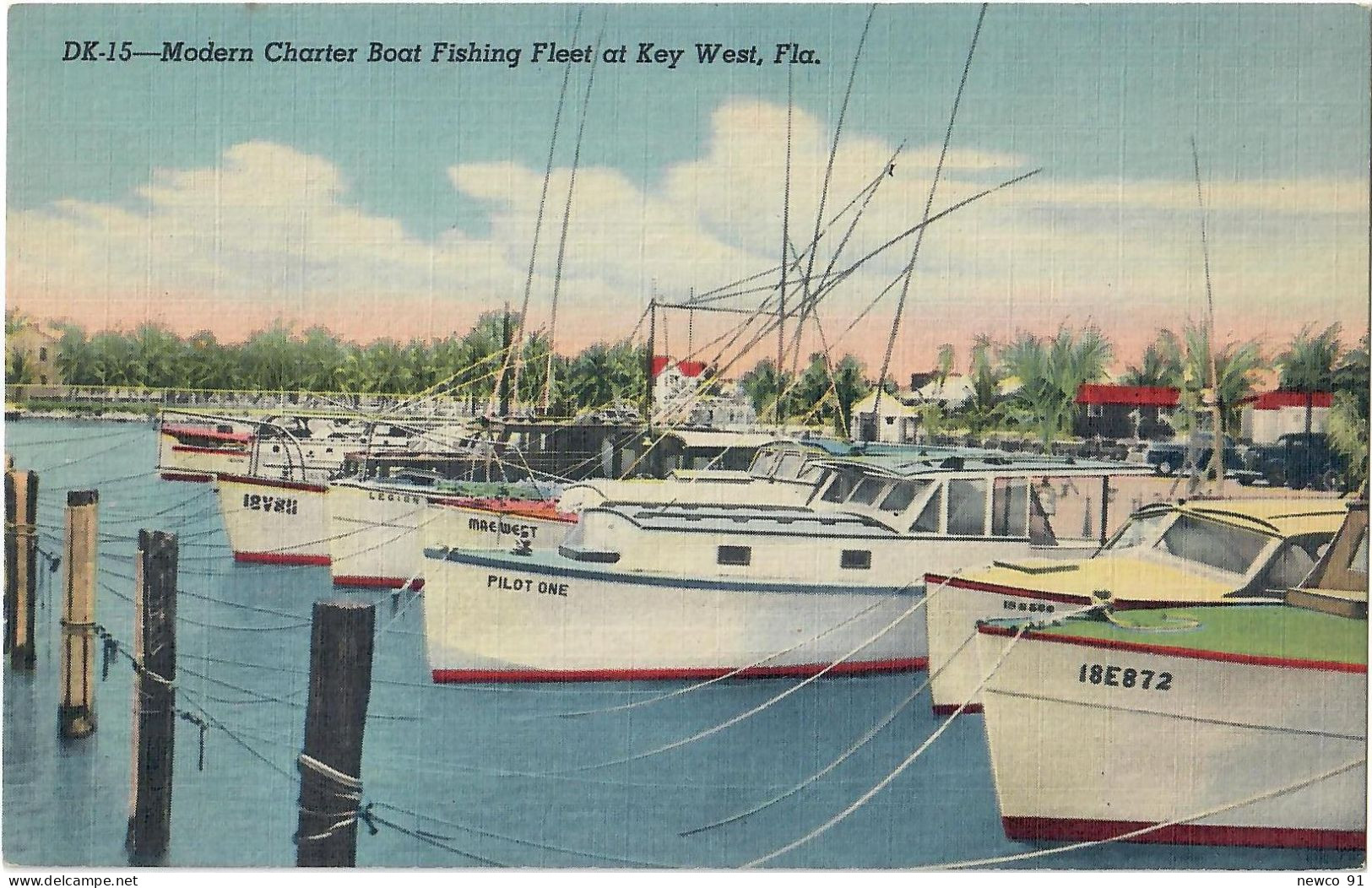 U.S.A. - KEY WEST FL-FLORIDA, MODERN CHARTER BOAT FISHING FLEET - POSTCARD NOT USED - Key West & The Keys