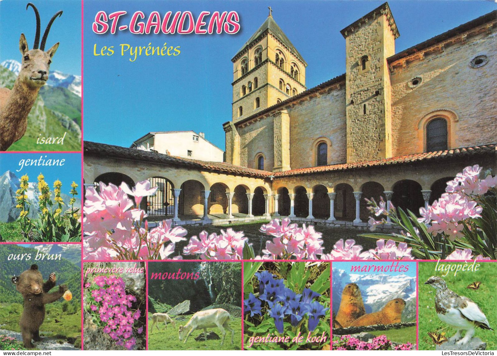 FRANCE - Saint-Gaudens - Isard - Gentiane - Ours Brun - Primevère Velue - Moutons - Marmottes - Lagopède- Carte Postale - Saint Gaudens