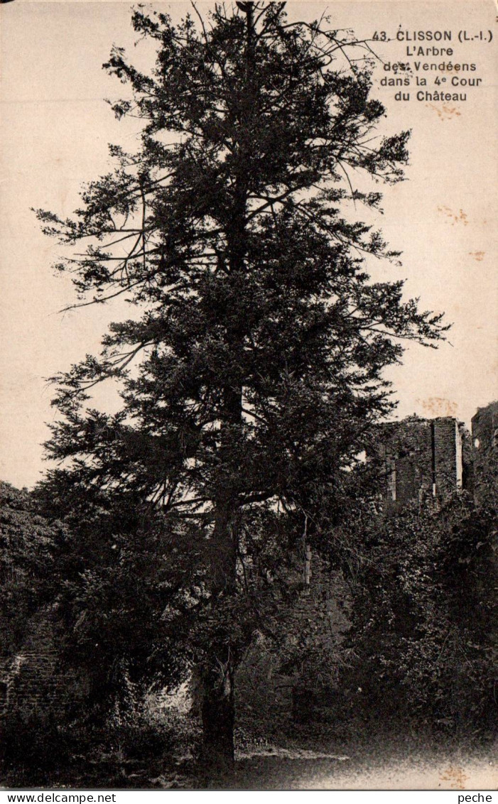 N°118349 -cpa Clisson -arbre Des Vendéens- - Arbres