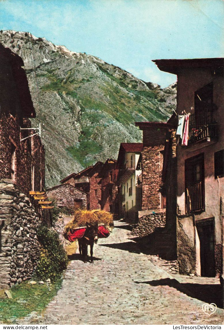 ANDORRE - Valls D'Andorra - Canillo - Vielle Rue Pittoresque De Canillo - Carte Postale Récente - Andorre