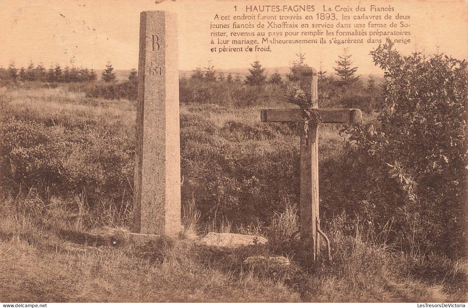 BELGIQUE - Jahlay - Hautes Fagnes - La Croix Des Fiancés - Tombes - Carte Postale Ancienne - Jalhay