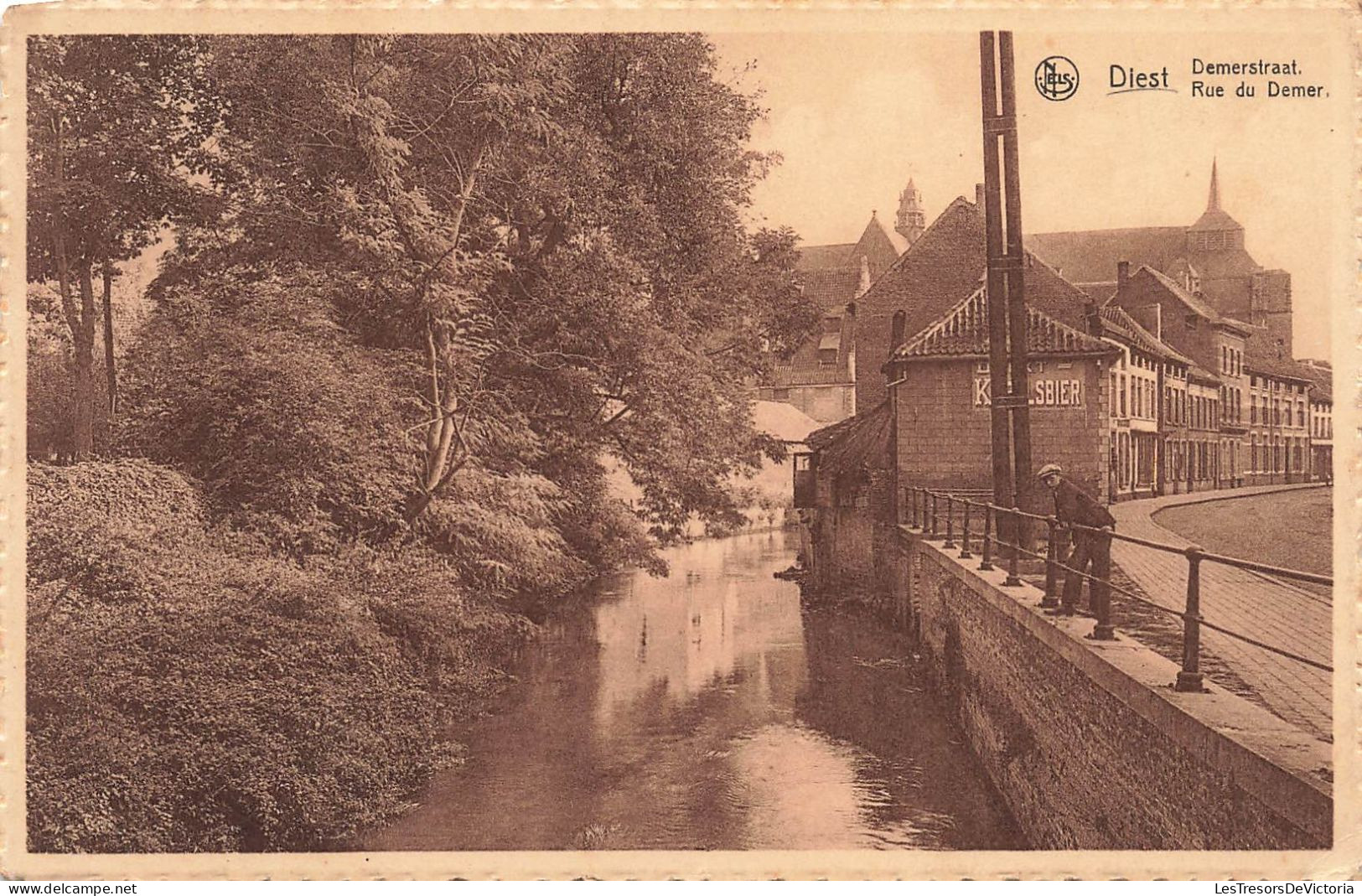 BELGIQUE - Diest - Rue Du Demer - Carte Postale Ancienne - Diest