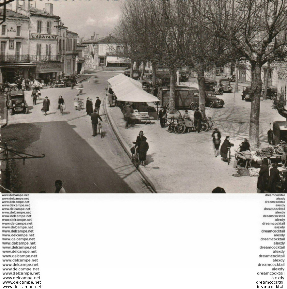 Photo Cpsm Cpm 33 LESPARRE. Un Jour De Marché 1956 - Lesparre Medoc