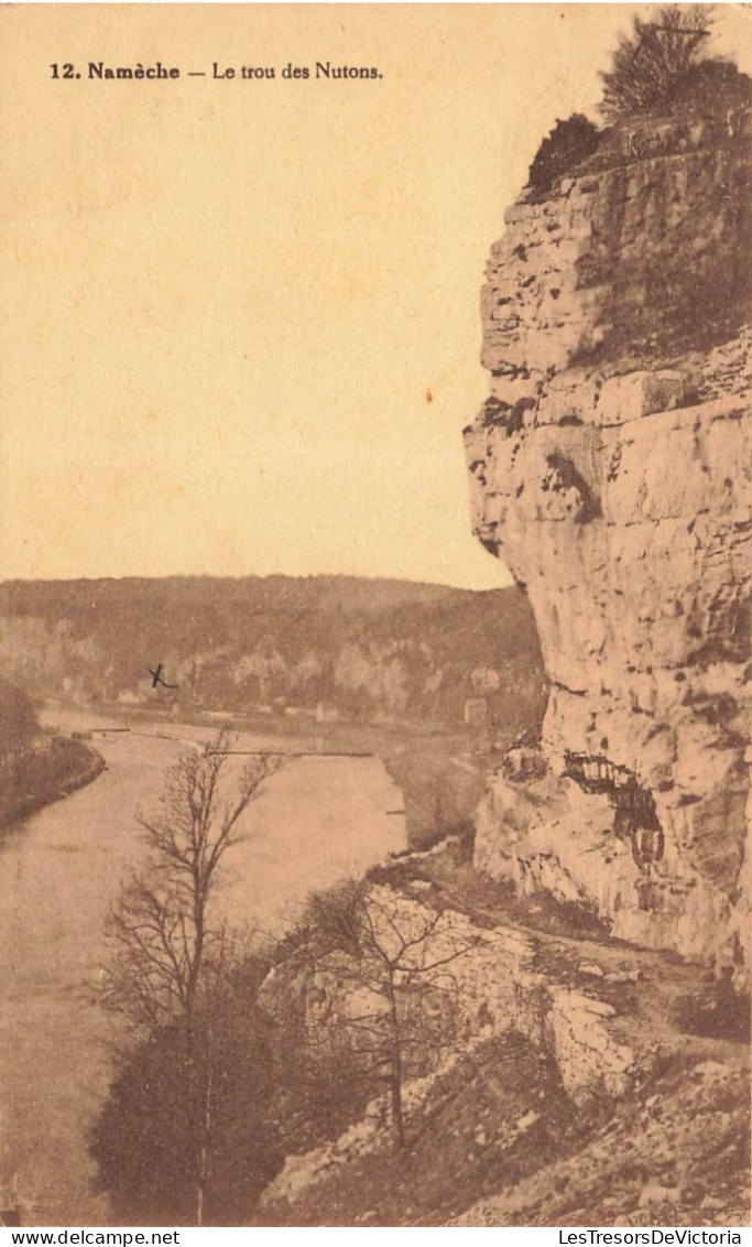 BELGIQUE - Namèche - Le Trou Des Nutons - Carte Postale Ancienne - Andenne