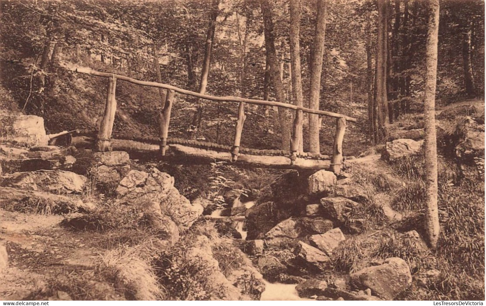 BELGIQUE - Spa - Promenade D'Orléans - Carte Postale Ancienne - Spa