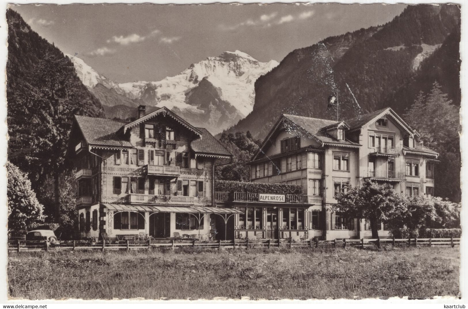 Wilderswil - Hotel Alpenrose  - (Schweiz/Suisse) - 1955 - Wilderswil