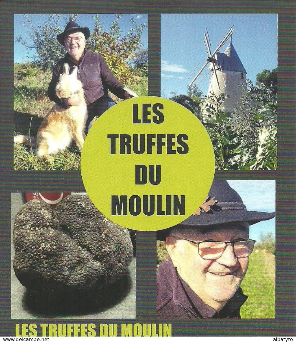 Truffes Truffe Noire Du Perigord Carte De Visite Format Carte Postale Chien Truffier Moulin à Vent - Funghi