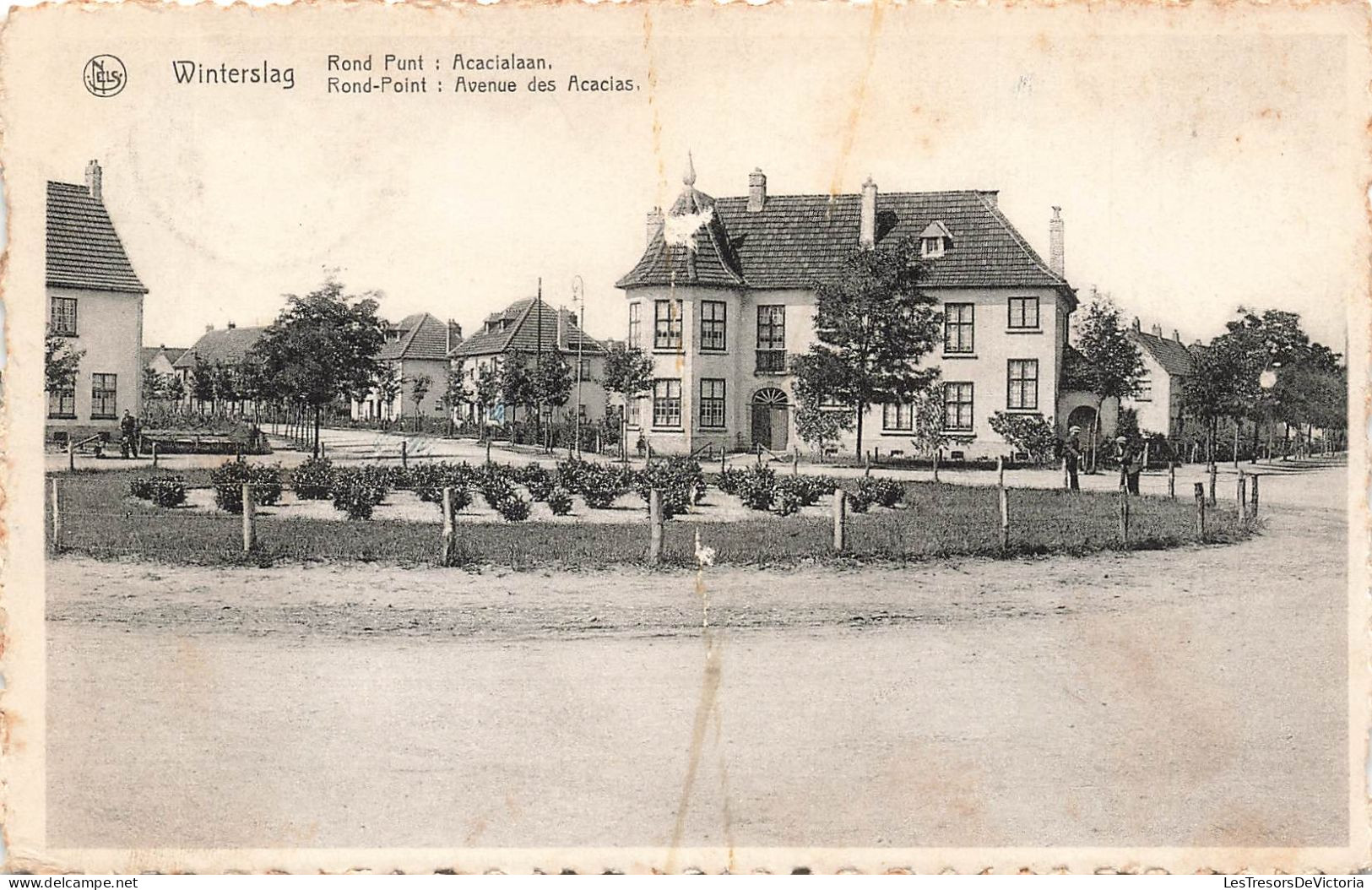 BELGIQUE - Winterslag - Rond-point - Avenue Des Acacias - Carte Postale Ancienne - Andere & Zonder Classificatie