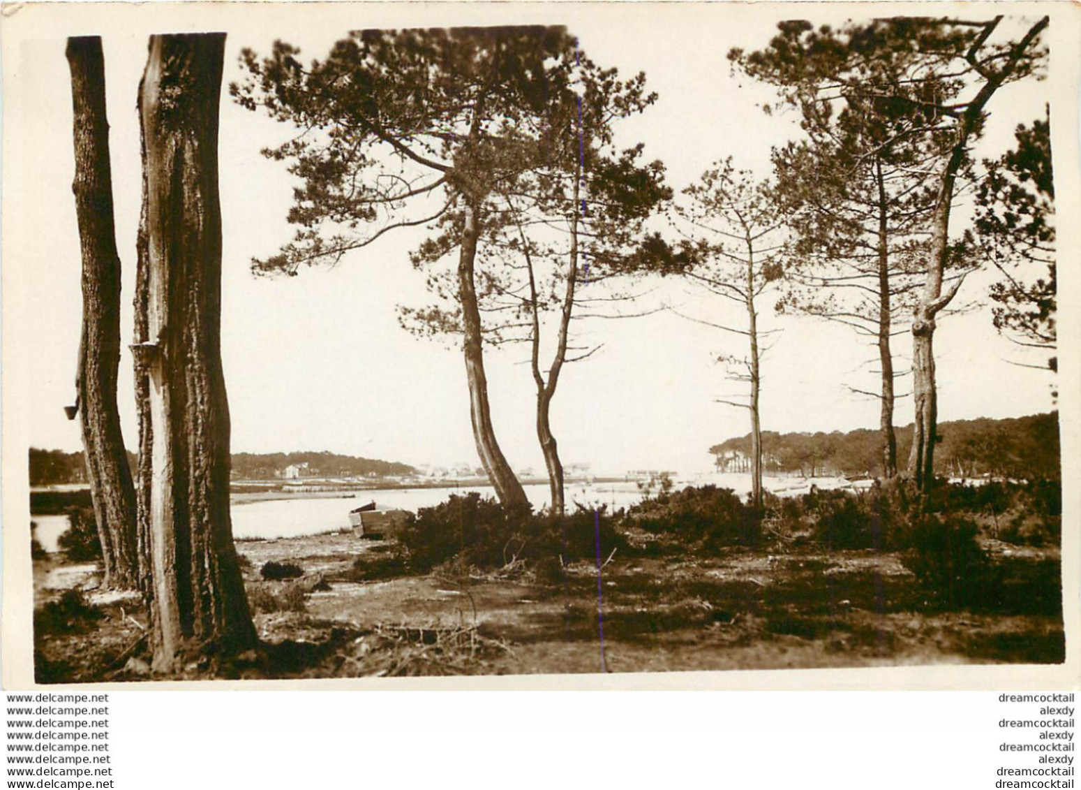 (MI) 7 X Photo Cpa 40 PAYSAGES DES LANDES - Castets