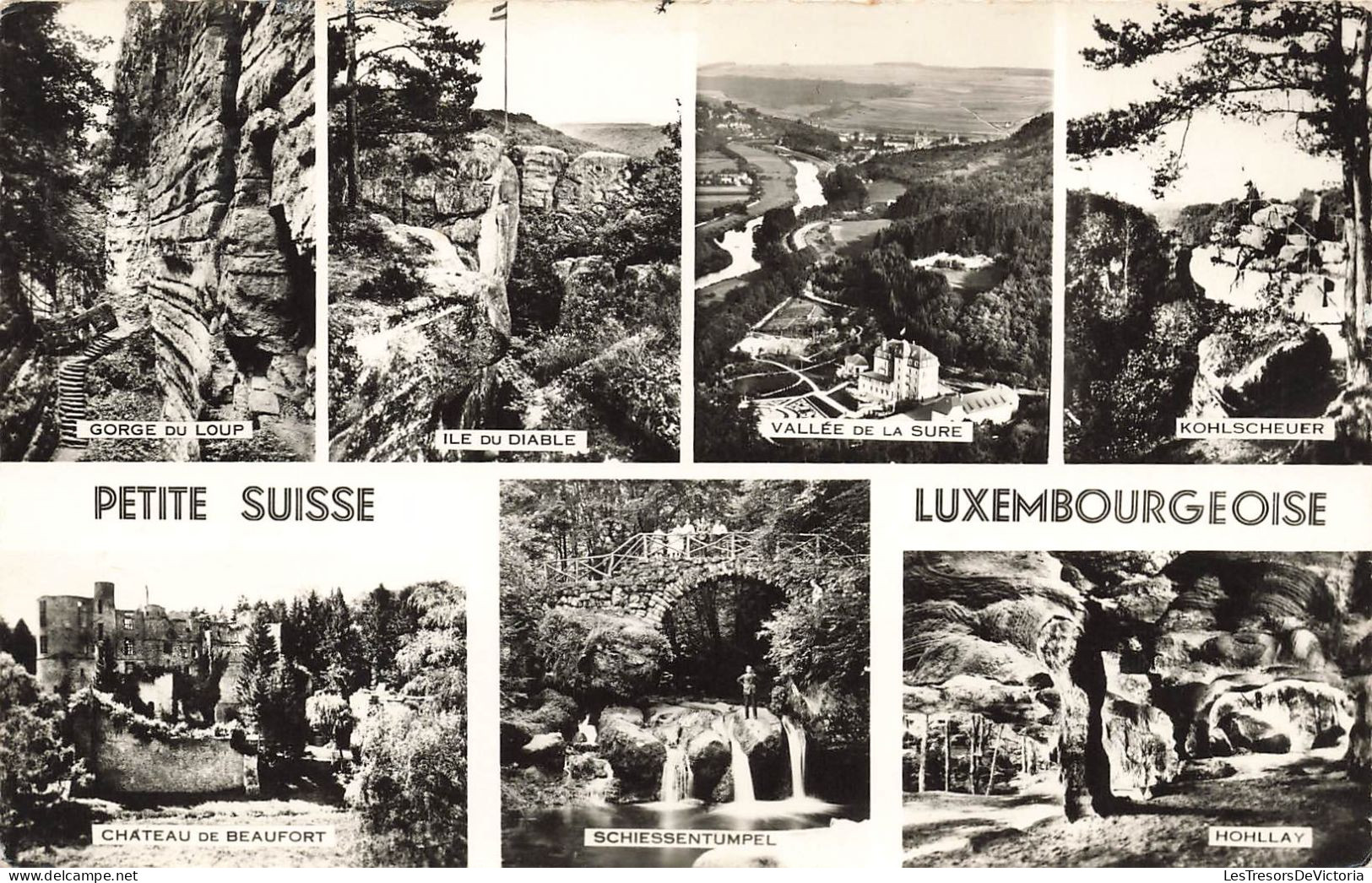 LUXEMBOURG - Petite Suisse Luxembourgeoise - Gorge Du Loup - Hohllay - Île Du Diable - Carte Postale Ancienne - Autres & Non Classés
