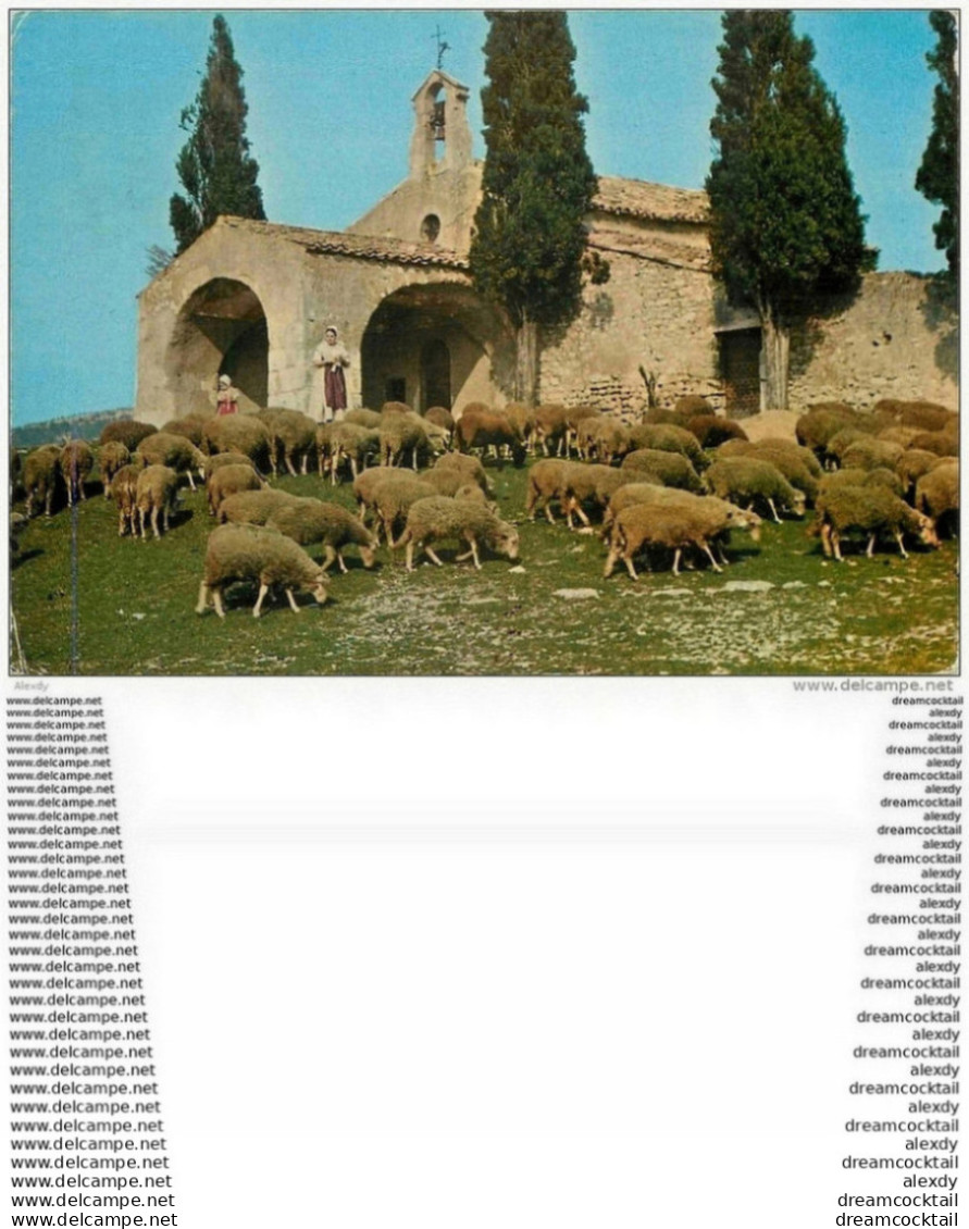 Photo Cpsm Cpm 13 EYGALIERES. Moutons à La Chapelle Saint-Sixte. Pour La Suisse 1975 - Eyguieres