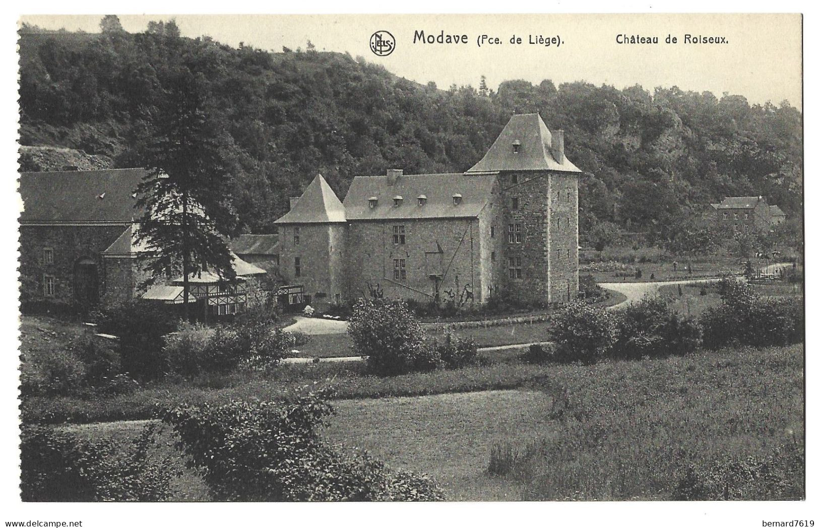 Belgique  - Modave -  Chateau De  Roiseux - Modave