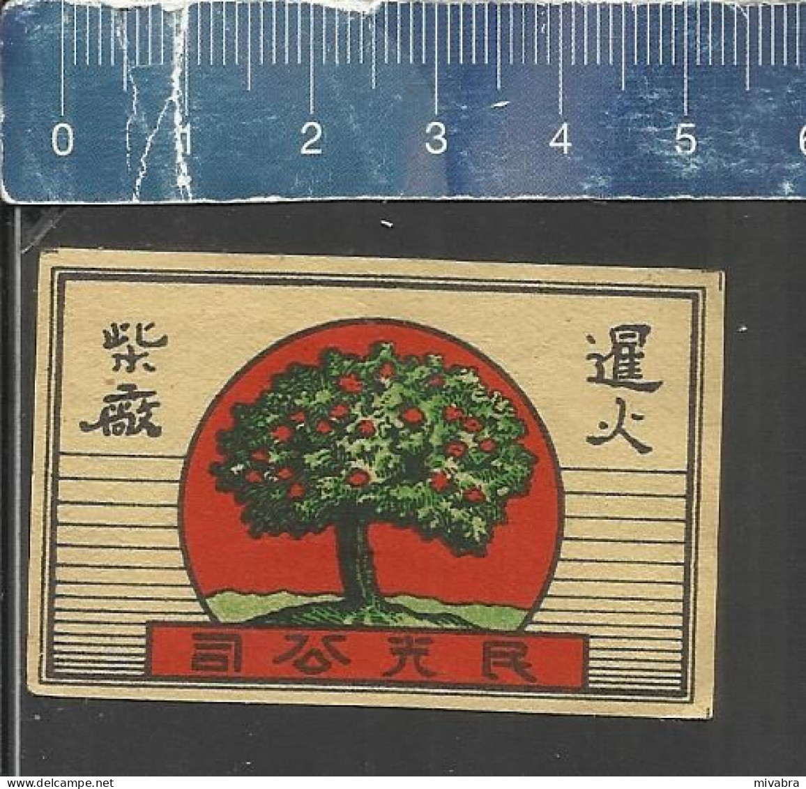 TREE ( BONZAI ?? ) - OLD MATCHBOX LABEL MADE IN JAPAN - Zündholzschachteletiketten