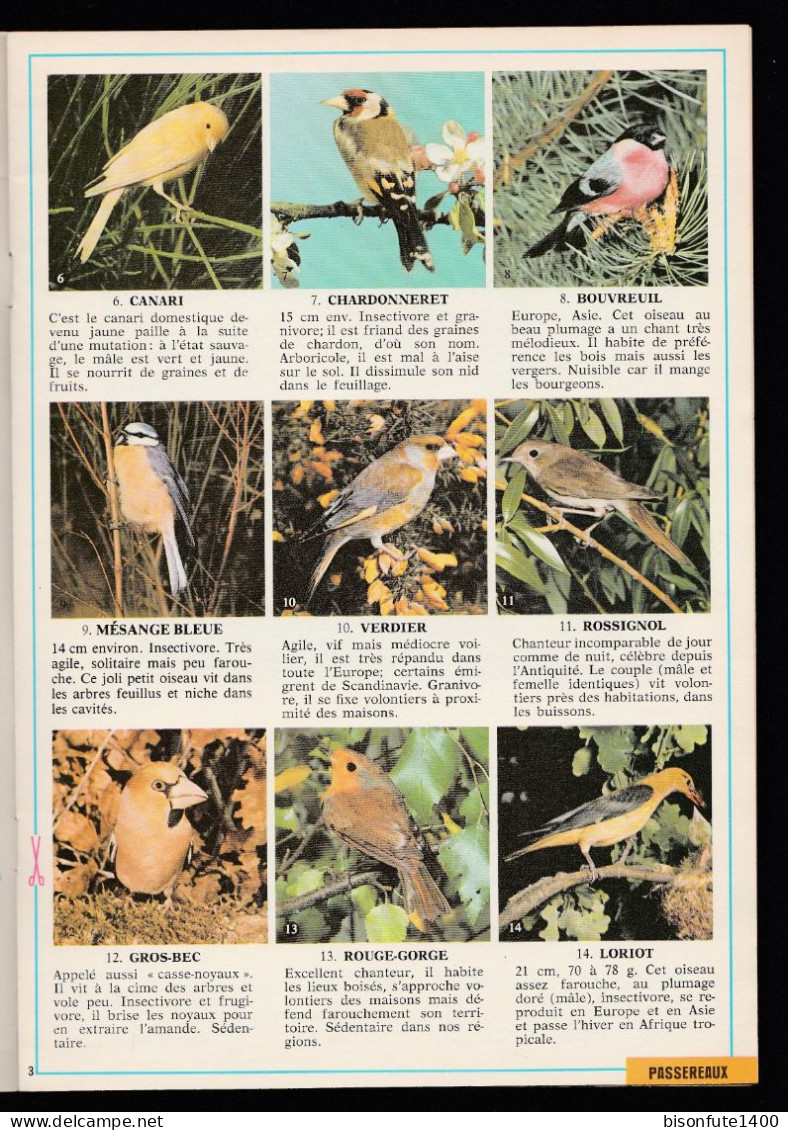 Documentation Scolaire : Les Oiseaux Tome 1 (Voir Photos) - 6-12 Ans