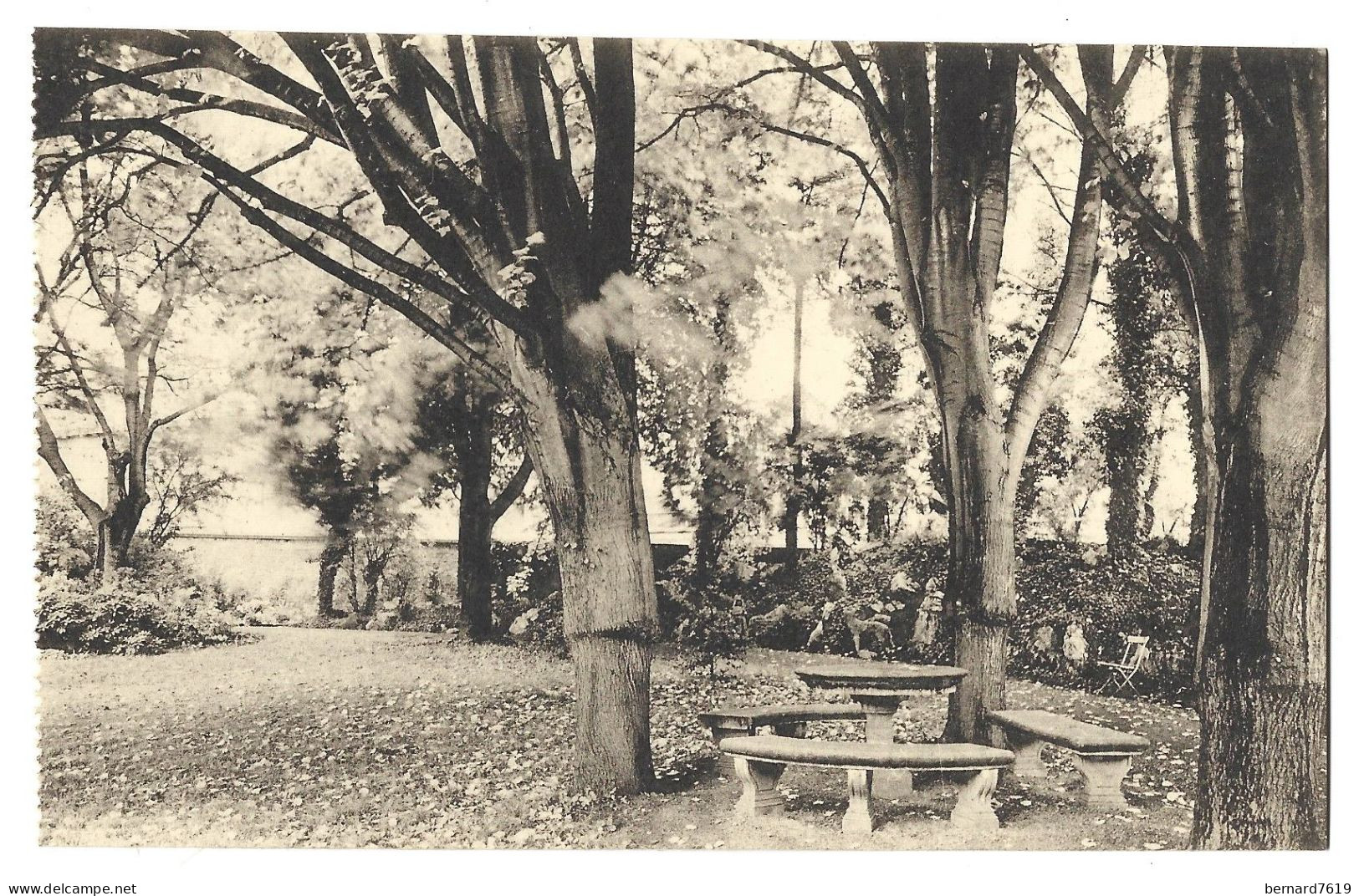 Belgique  -  Montigny Le Tilleul  -   Chateau -  Proprietaire  D Baudewyns - Banc Rustique Et Tilleuls Argentes - Arbre - Montigny-le-Tilleul