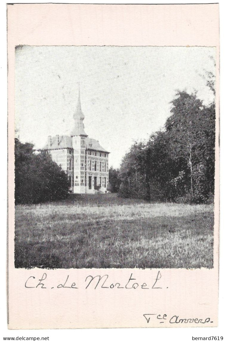 Belgique  -  Mortsel  -  Chateau  De Mortoel - Mortsel