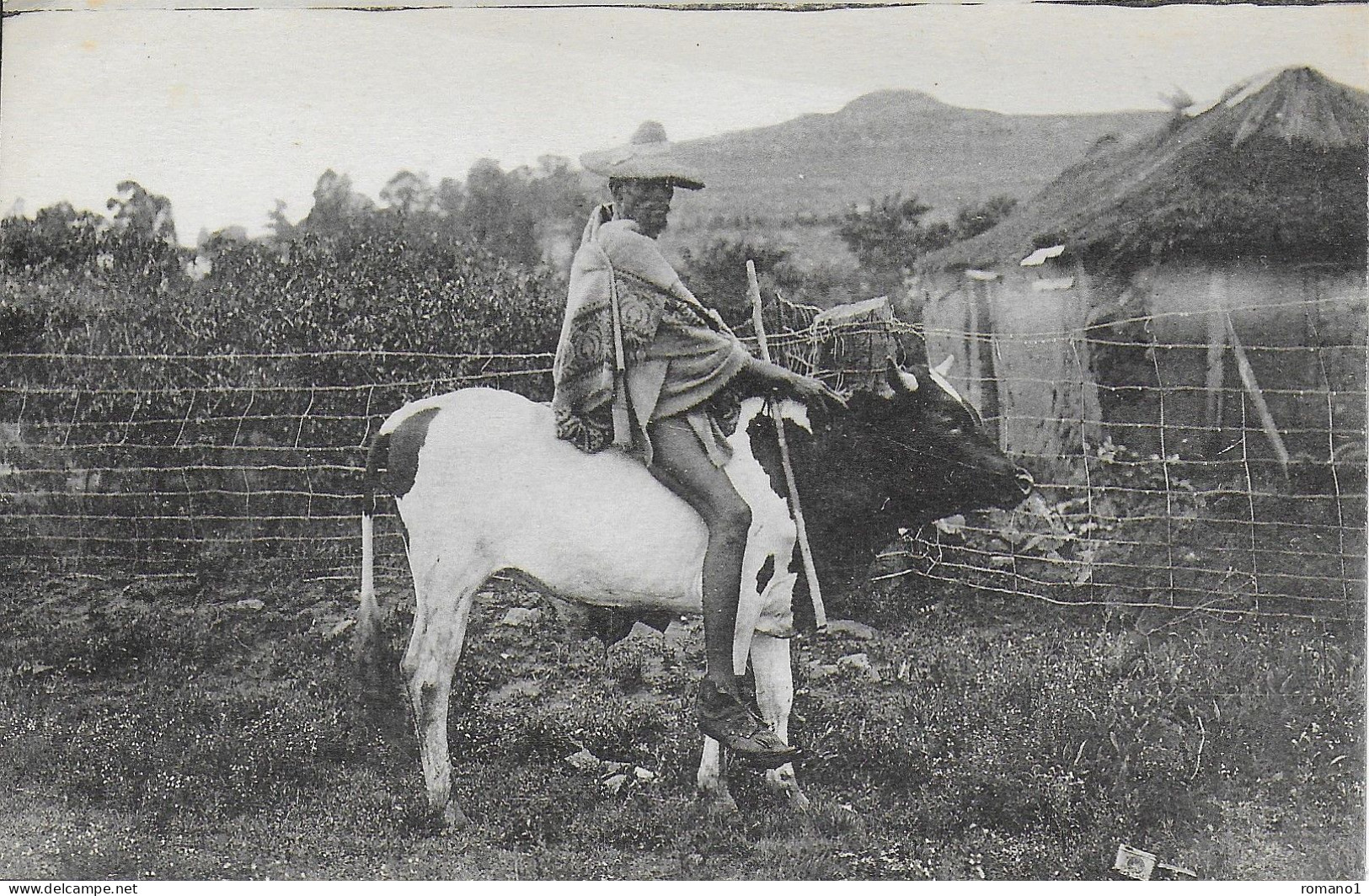 LESOTHO  /  LESSOUTO  -  Bassouto En Voyage - Lesotho