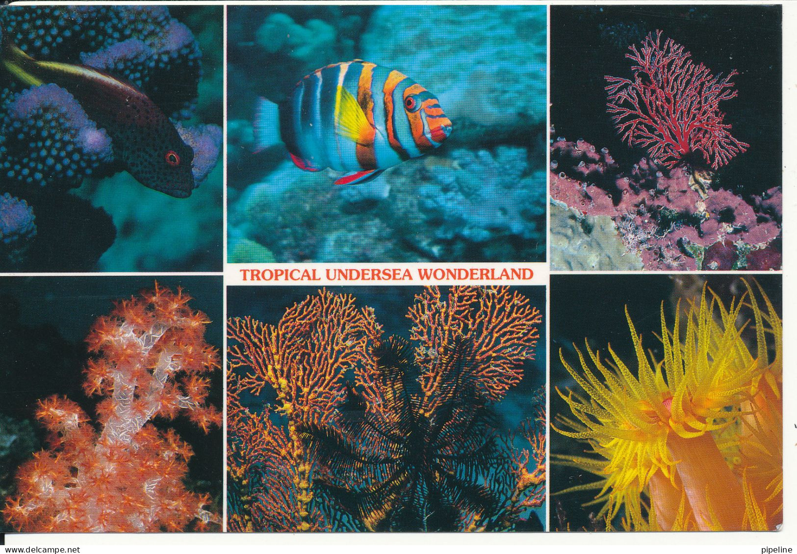 Fiji Postcard Sent To Denmark 30-1-1999 (Tropical Undersea Wonderland) - Figi