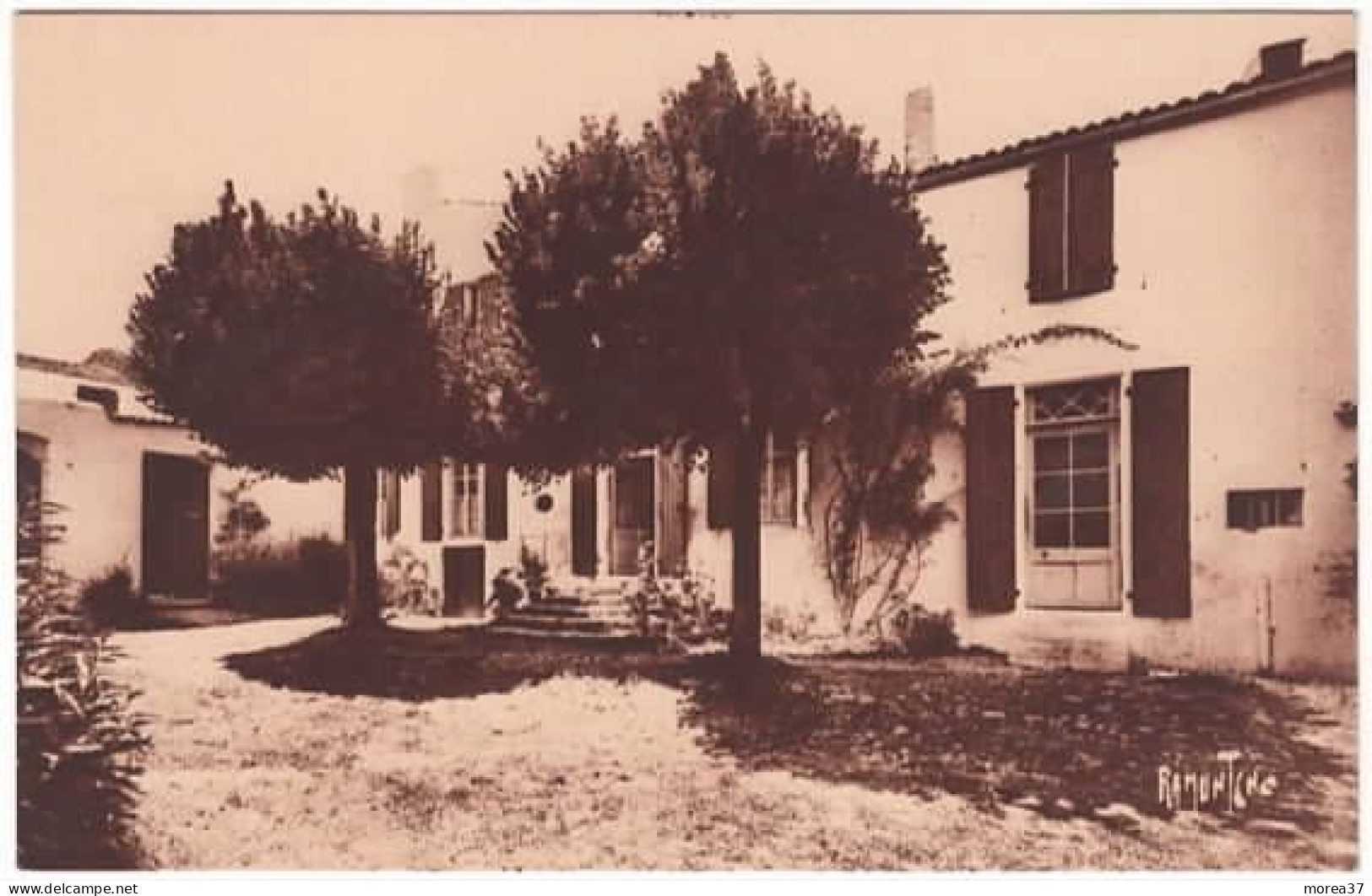 SAINT PIERRE D'OLERON  La Maison Des Aïeules - Saint-Pierre-d'Oleron