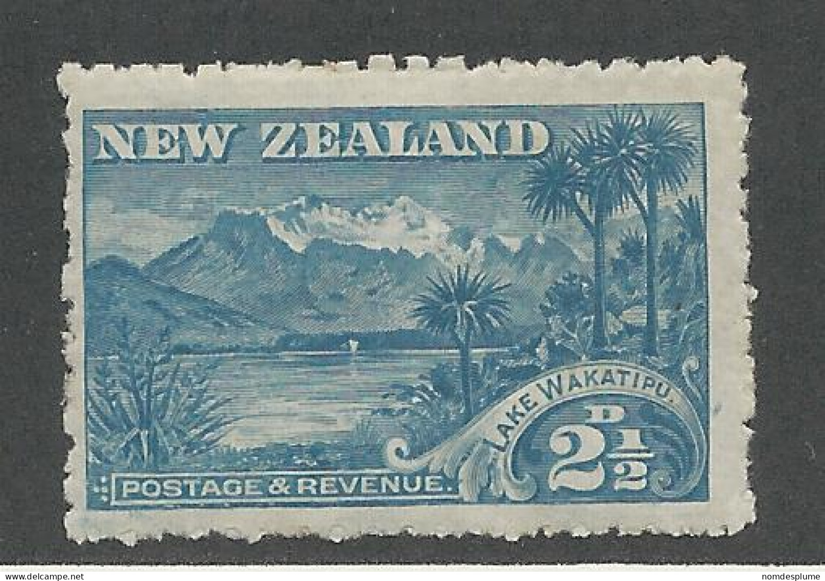 25104) New Zealand 1898 Wakatipu Mint Hinge * - Nuevos