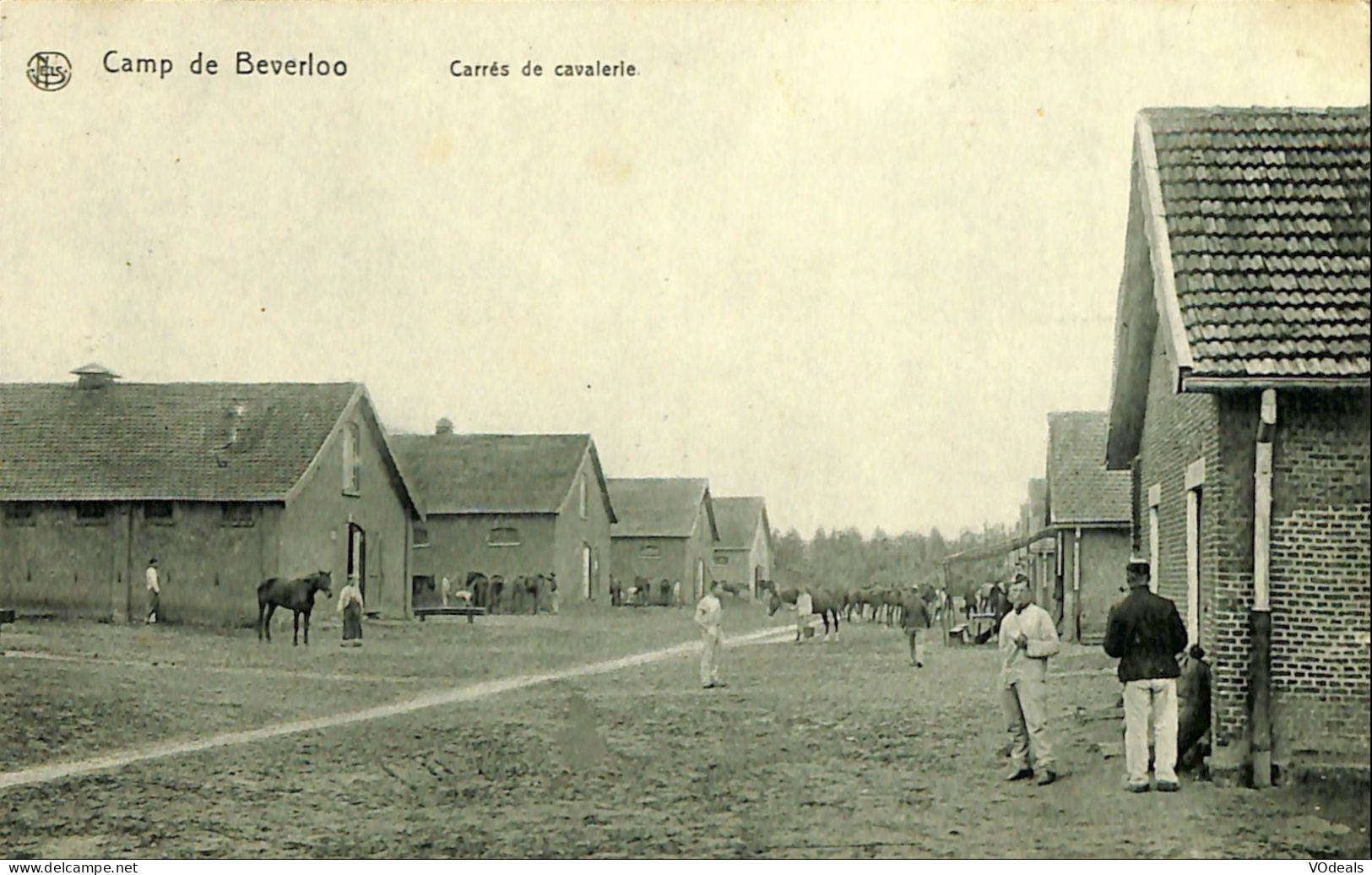 Belgique - Limbourg - Leopoldsburg - Bourg-Léopold - Camp De Beverloo - Carrés De Cavalerie - Leopoldsburg (Beverloo Camp)