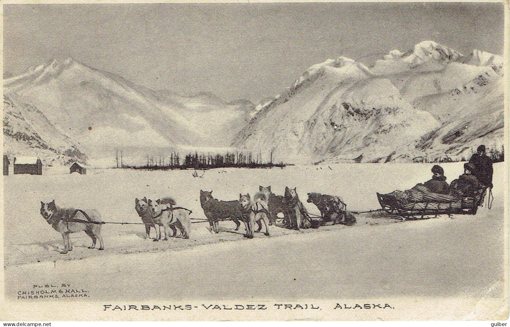 Fairbank's-valdez Trail Alaska  Attelage De Chiens De Traineau Chisholm - Otros & Sin Clasificación