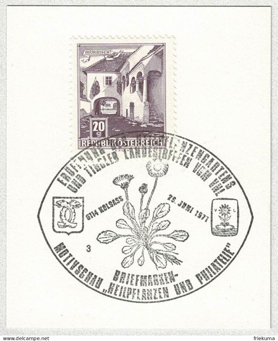 Oesterreich / Austria 1971, Sonderstempel Ausstellung Heilpflanzen Und Philatelie Kölsass - Heilpflanzen