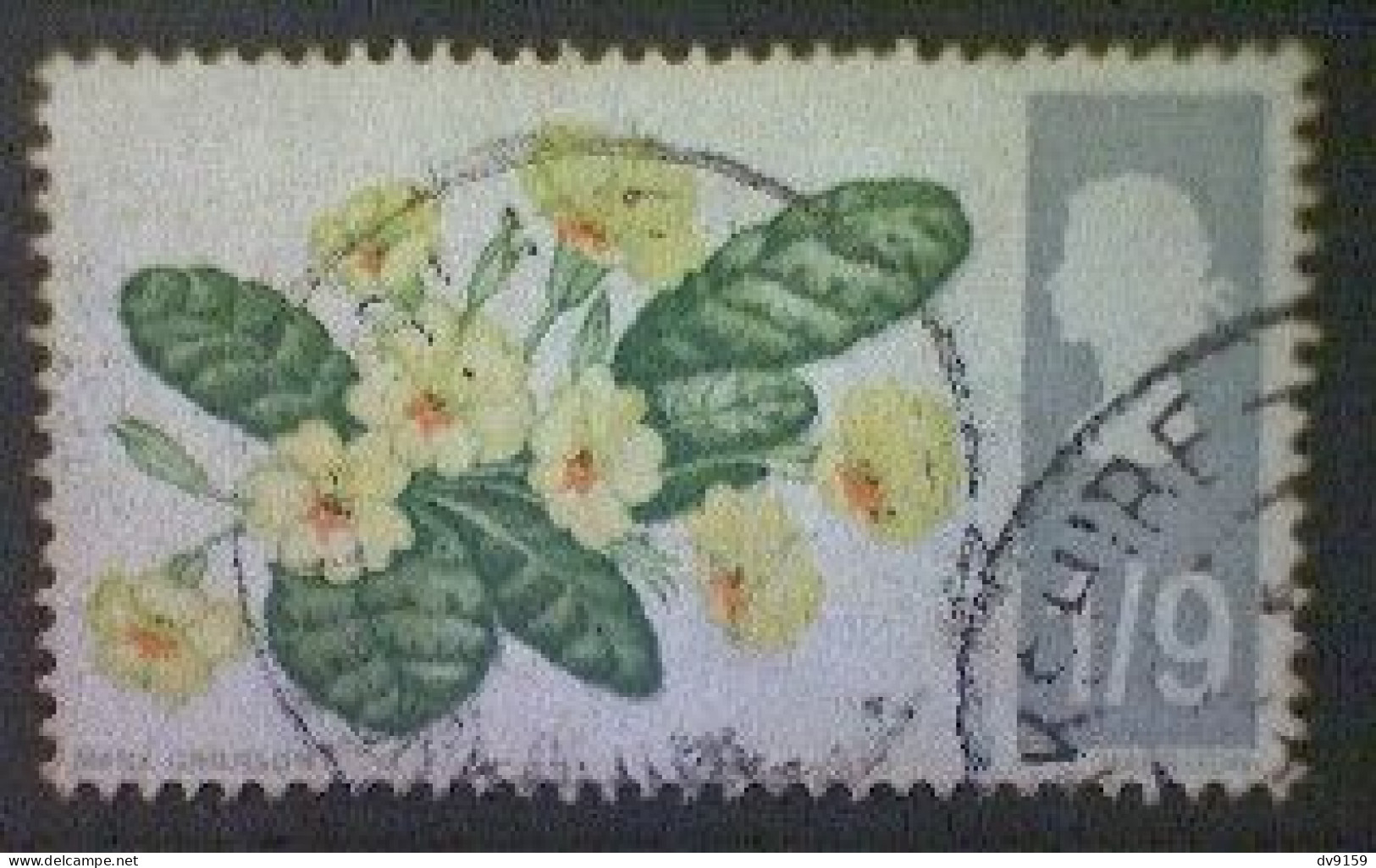 Great Britain, Scott #492, Used(o), 1967, British Wildflowers: Primrose, 1/9, Multicolored - Usati