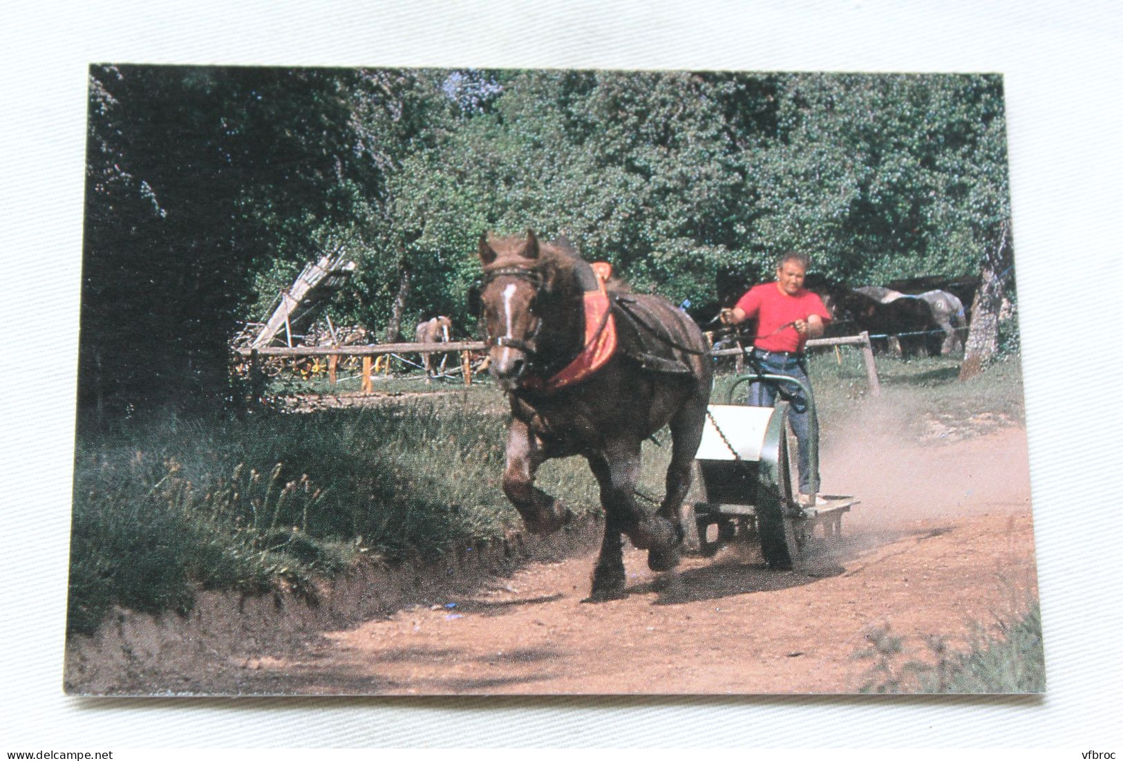 Cpm, Juvigny Sous Andaine, La Michaudière, Ferme Du Cheval De Trait, Orne 61 - Juvigny Sous Andaine