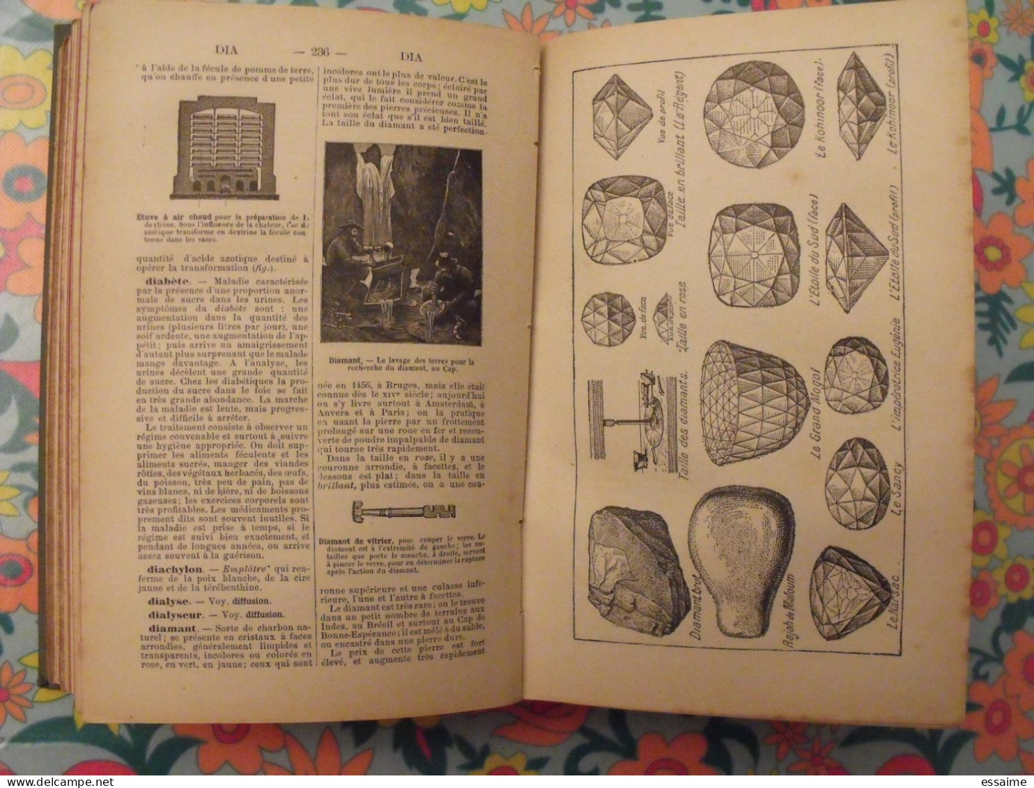 dictionnaire manuel illustré des Sciences usuelles. E. Bouant. Armand Colin, Paris, 1894