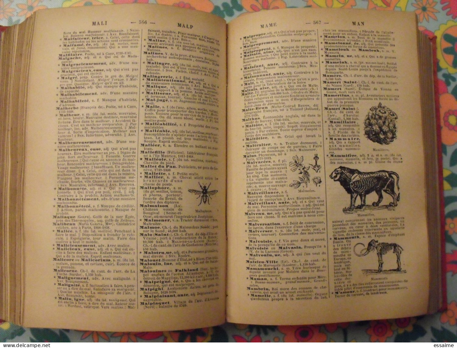 Bescherelle. Nouveau Dictionnaire Encyclopédique Illustré. Garnier, Paris, 1900 - Dictionnaires