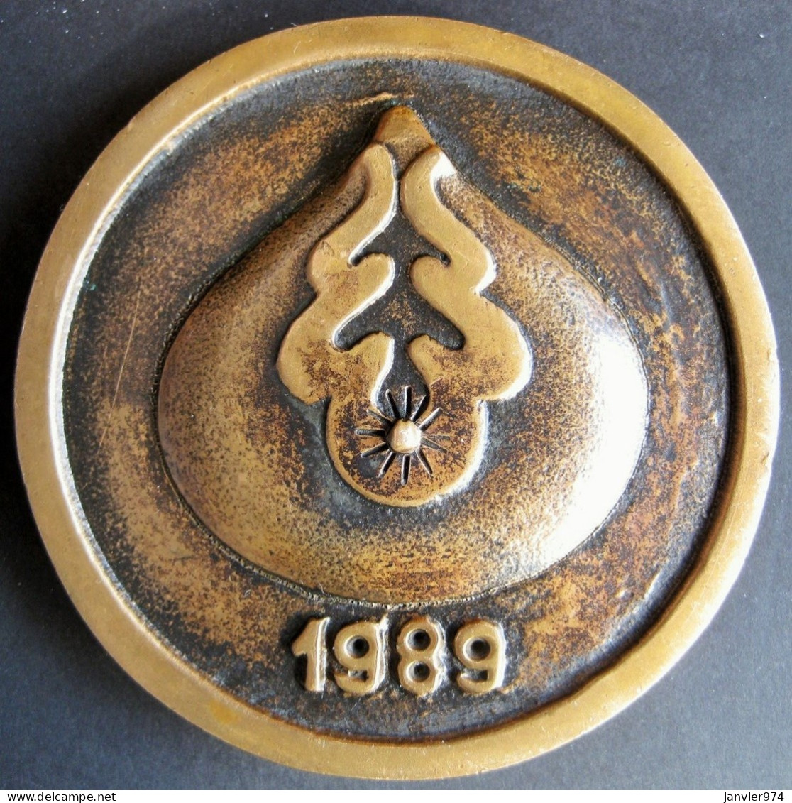 Medaille SCHERING-PLOUGH LOSEC Omeprazol 1989, Laboratoire Pharmaceutique - Professionnels/De Société