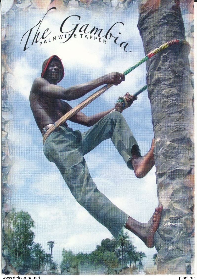 Gambia Postcard Sent To Denmark 3-11-2010 (The Gambia Palmwine Tapper) - Gambia