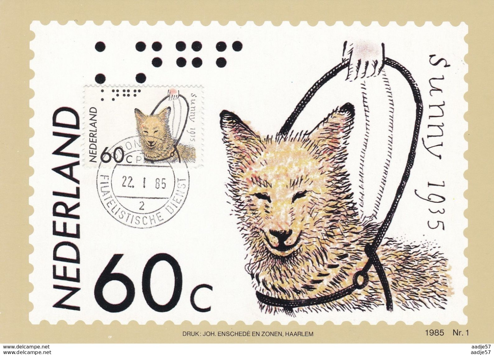 Netherlands Pays Bas Maximum Card 22.01.1985 KNGF Hond Service Dog - Maximum Cards
