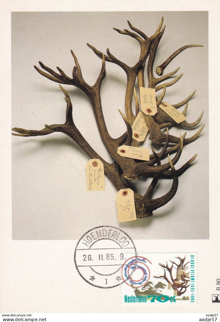 Netherlands Pays Bas Maximum Card 26.02.1985 De Hoge Veluwe - Maximumkarten (MC)