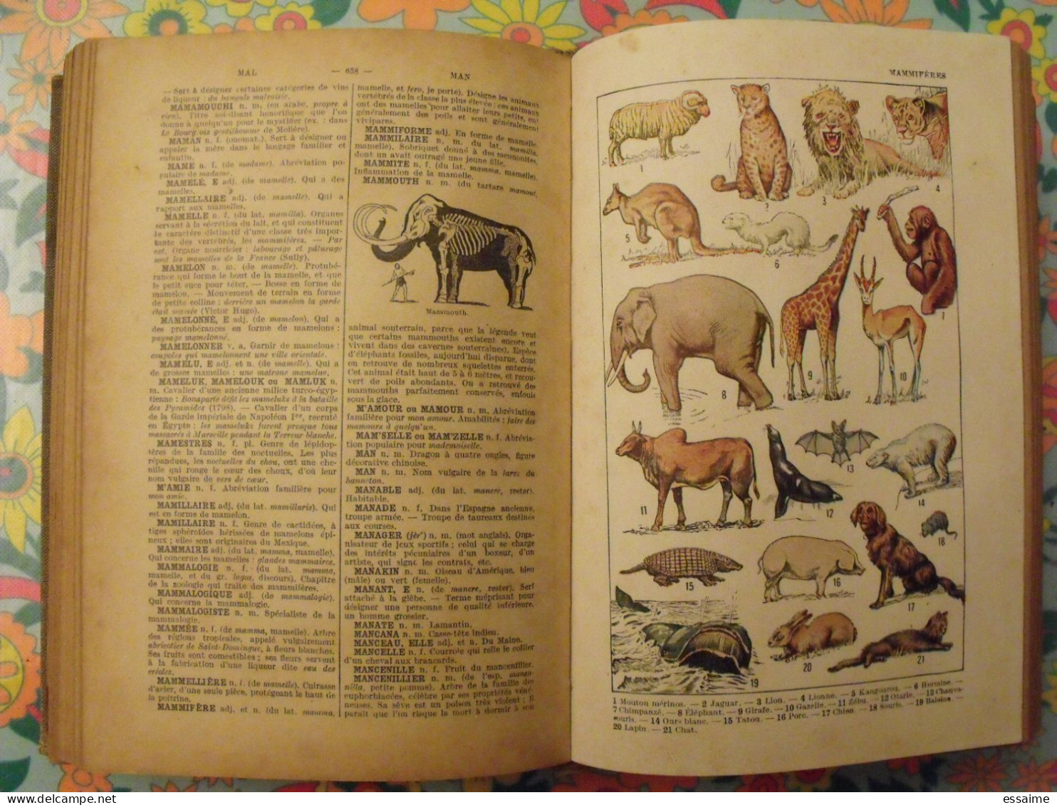 nouveau dictionnaire illustré Simon. 1937. 100 dessins 12 tableaux couleurs 100 cartes