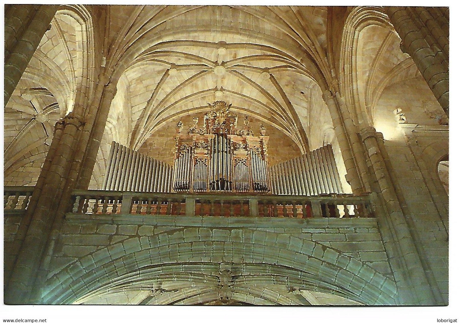 ORGANO DE M. DE LA VIÑA. SIGLO XVIII.- CONCATEDRAL DE STA. MARIA.- CACERES - EXTREMADURA.-  ( ESPAÑA ). - Cáceres