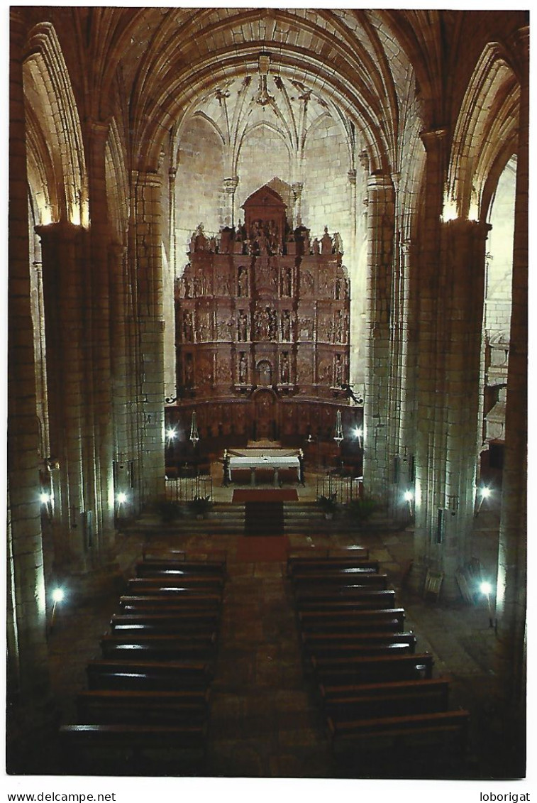 VISTA GENERAL DE SU INTERIOR.- CONCATEDRAL DE STA. MARIA.- CACERES - EXTREMADURA.-  ( ESPAÑA ). - Cáceres