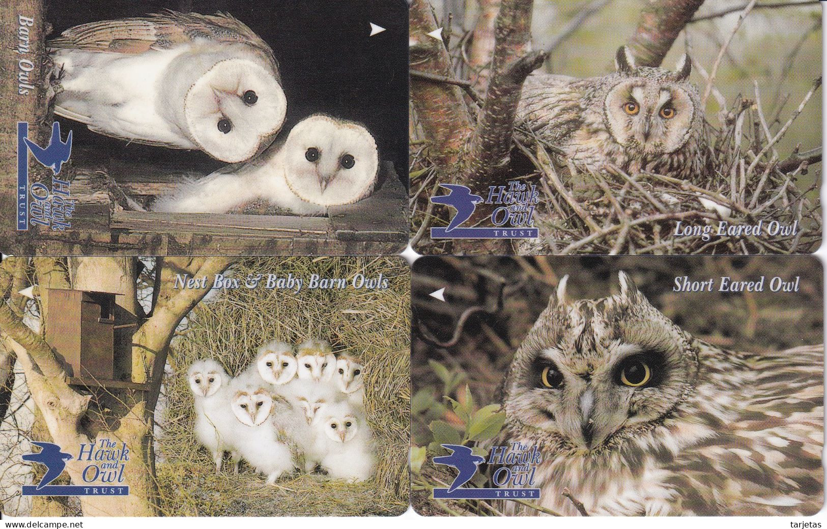 SERIE COMPLETA DE 4 TARJETAS DE JERSEY DE BUHOS (BUHO-OWL-CHOUETTE) - Owls