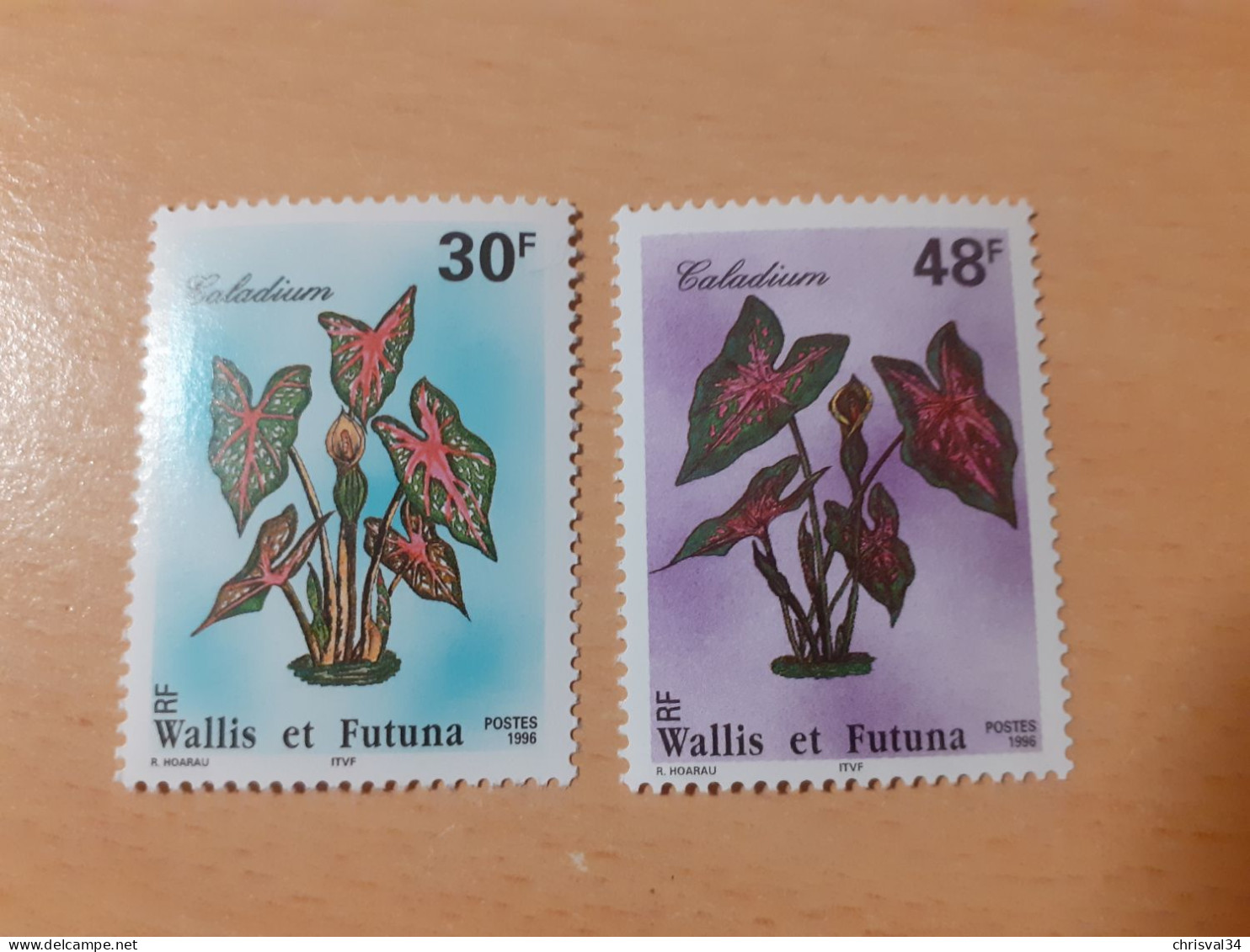 TIMBRES  WALLIS-ET-FUTUNA      N  493  /  494   COTE  2,40  EUROS   NEUFS  SANS   CHARNIERES - Nuevos