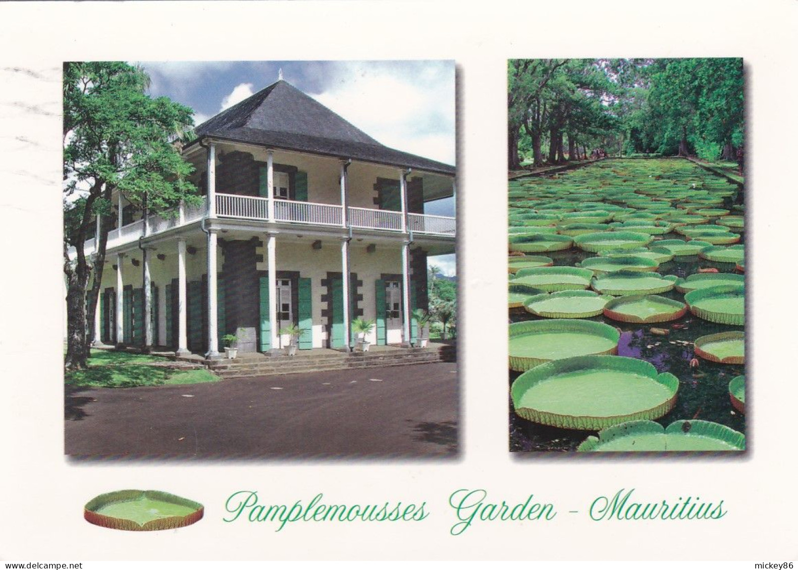 Ile MAURICE ---Jardin Des Pamplemousses ............Beau Timbre (anguille) - Mauritius