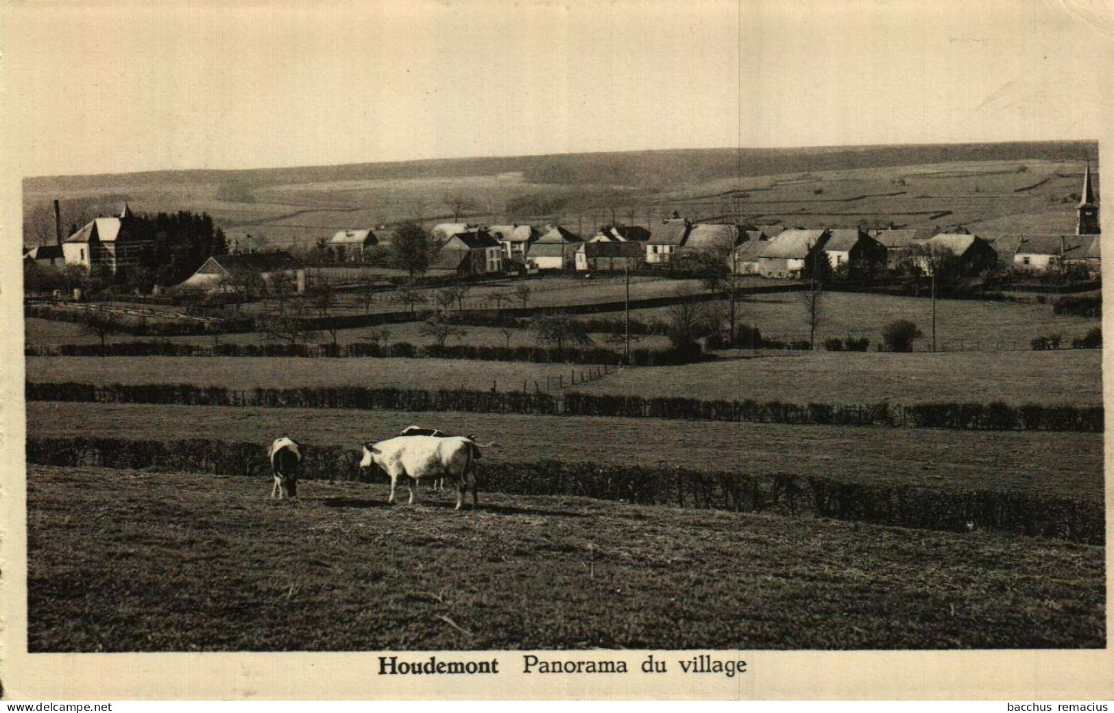 HOUDEMONT - Panorama Du Village - Habay