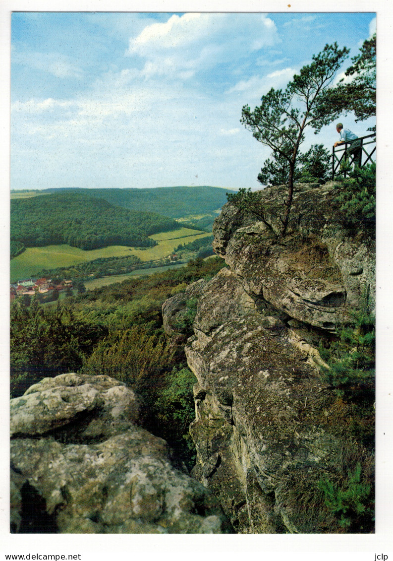 PETITE SUISSE LUXEMBOURGEOISE - Point De Vue - Plateau Du Roitzbach - Berdorf. - Berdorf